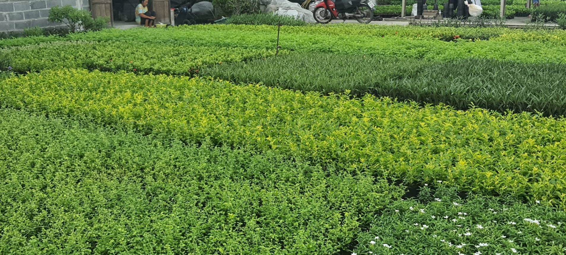 เกี่ยวกับเรา