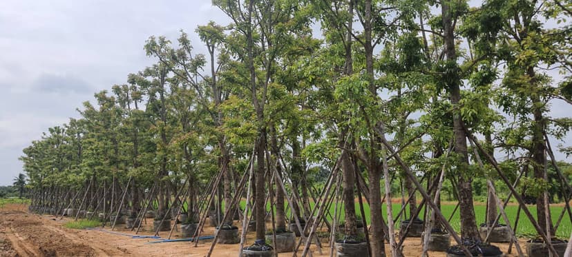 2. รับดูแล บำรุงรักษา