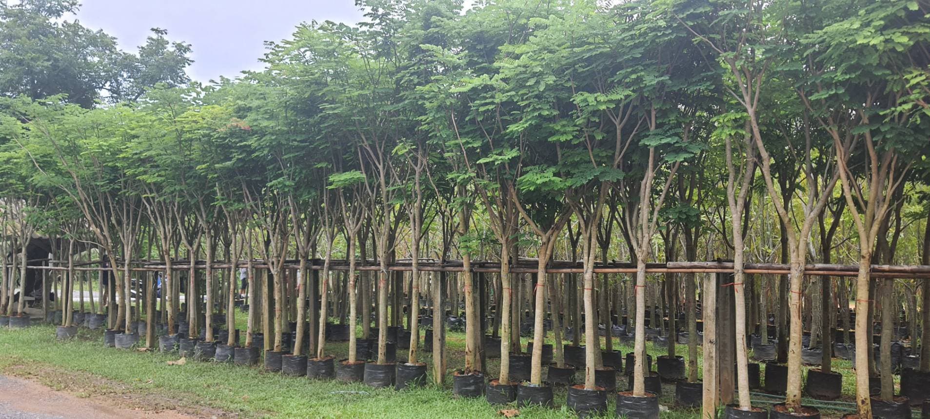 ติดต่อเรา