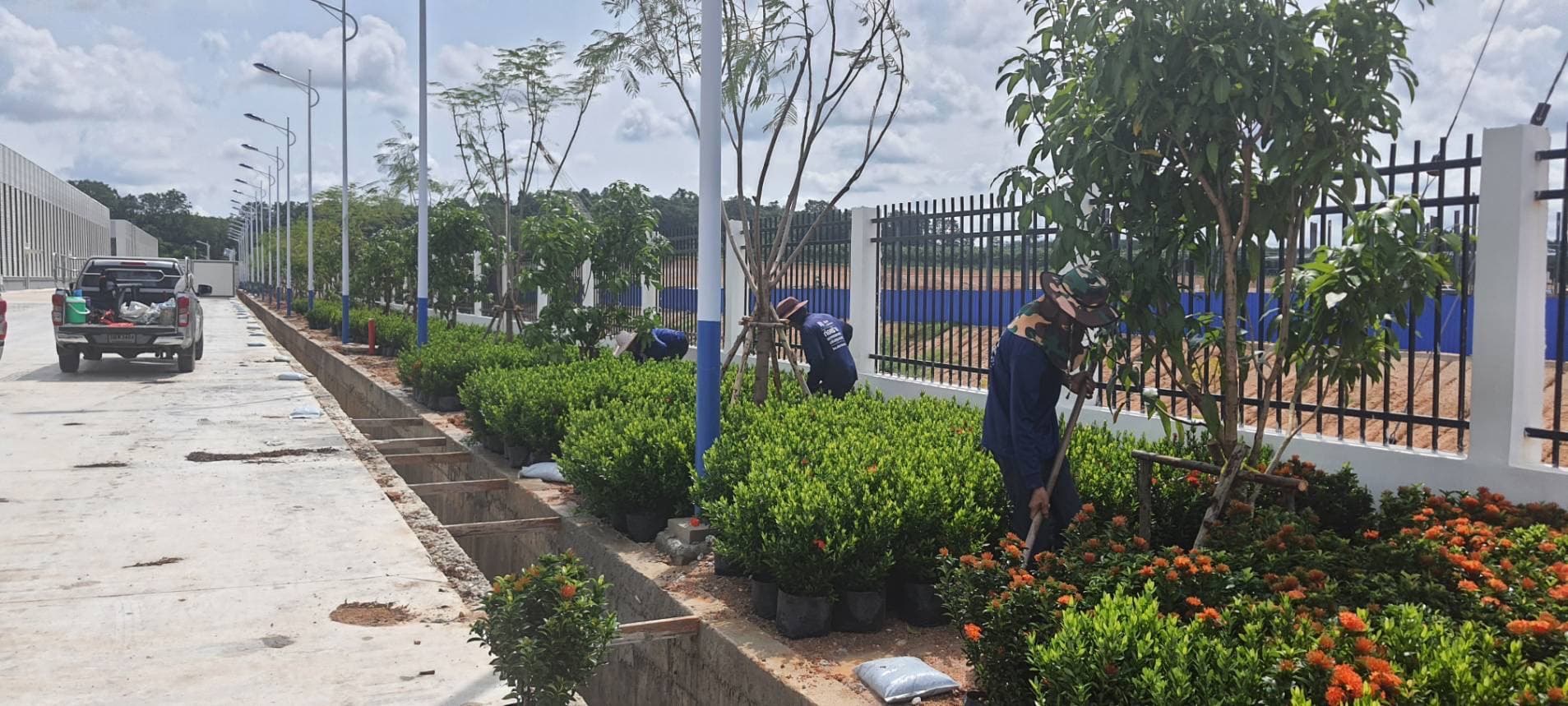 งานจัดสวนลูกค้า 1