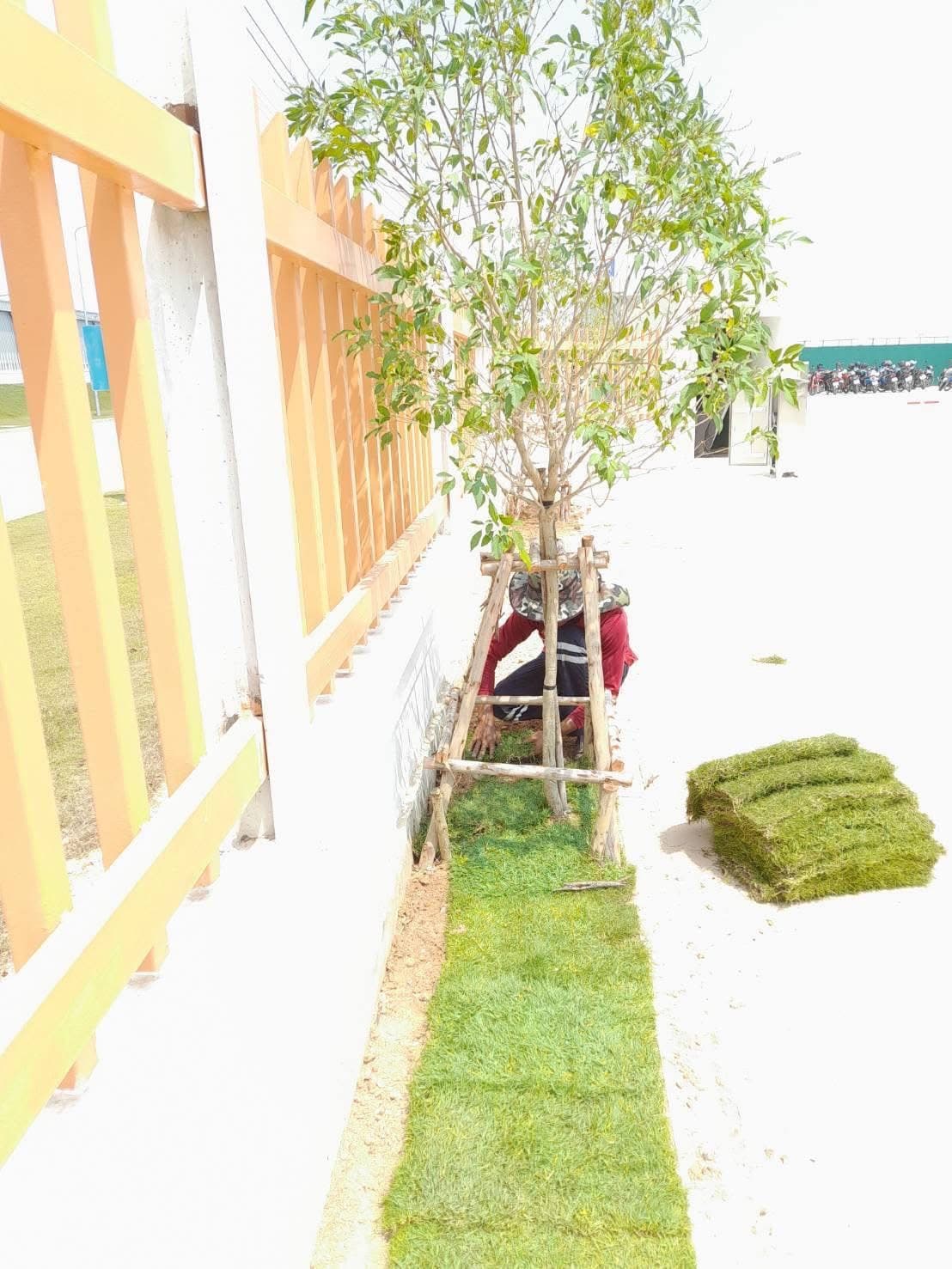 งานจัดสวนลูกค้า 10