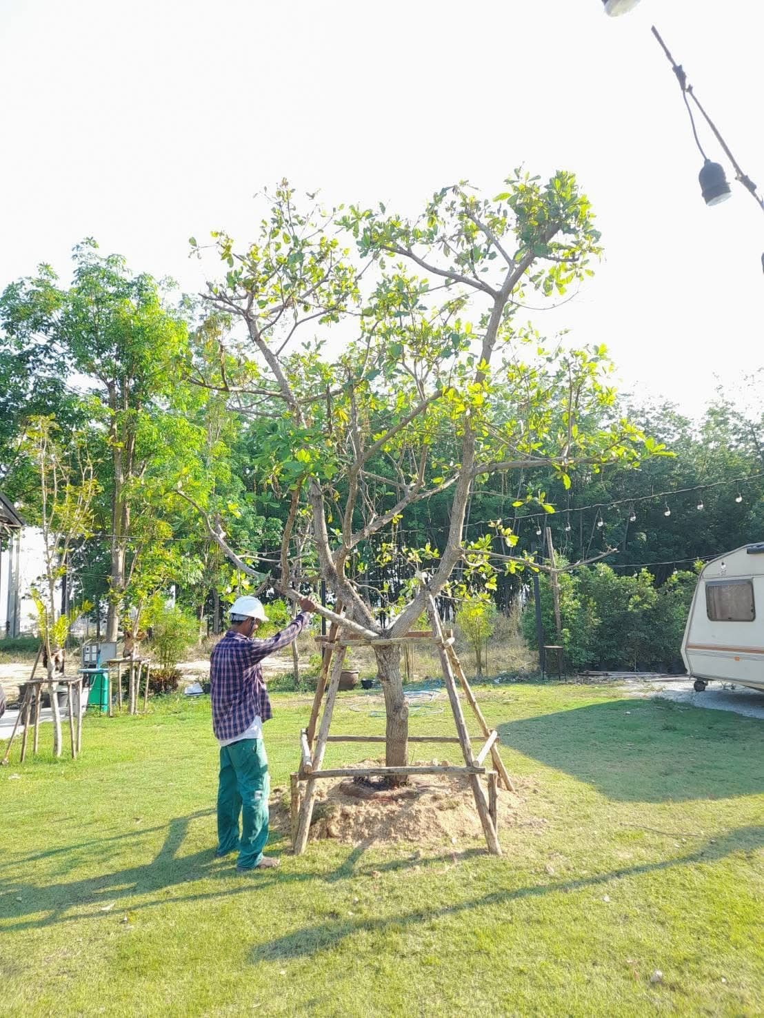 งานจัดสวนลูกค้า 14