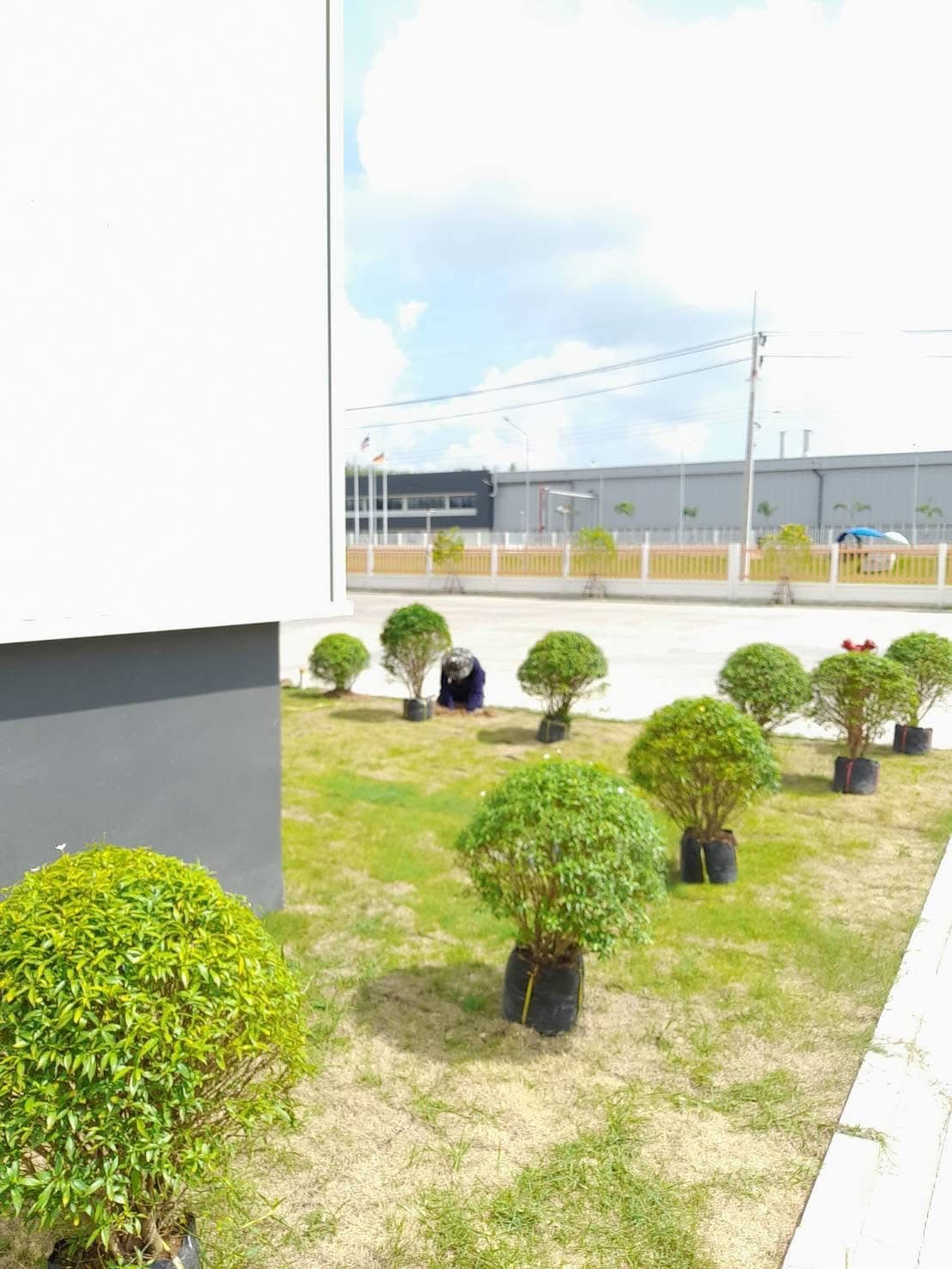 งานจัดสวนลูกค้า 19