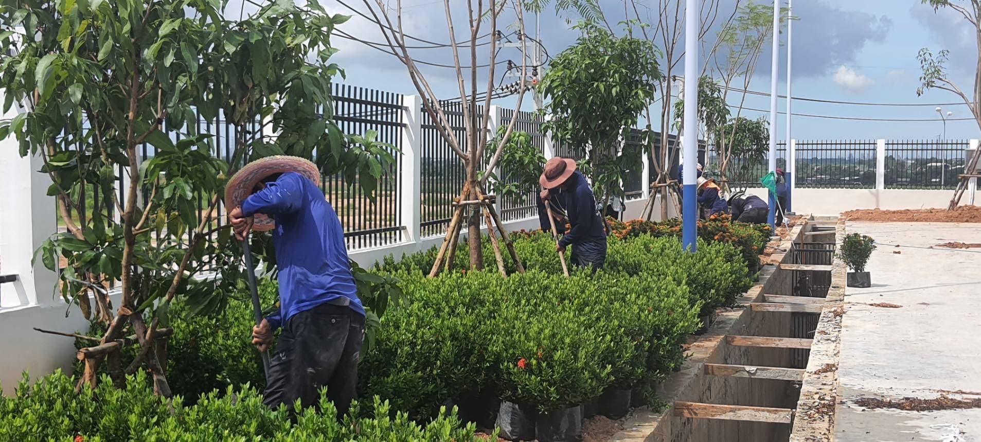 งานจัดสวนลูกค้า 2