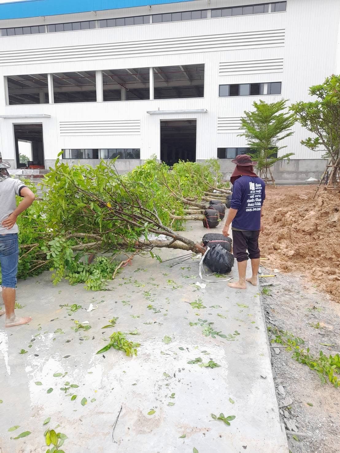 งานจัดสวนลูกค้า 20