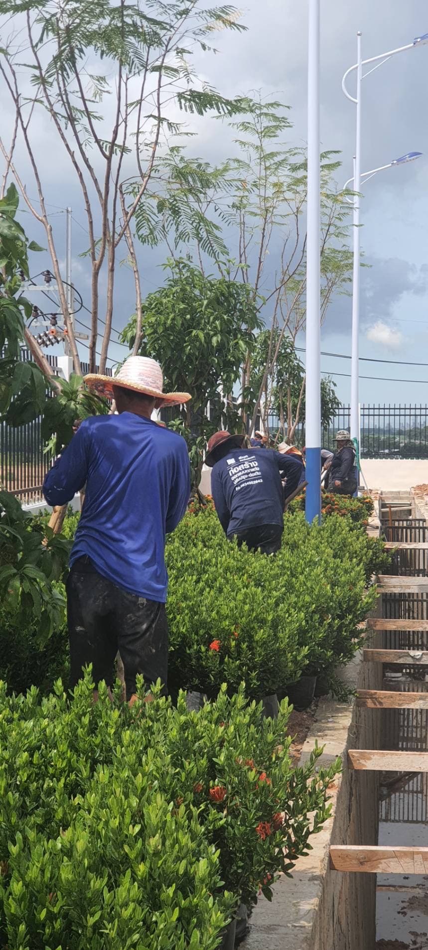 งานจัดสวนลูกค้า 3