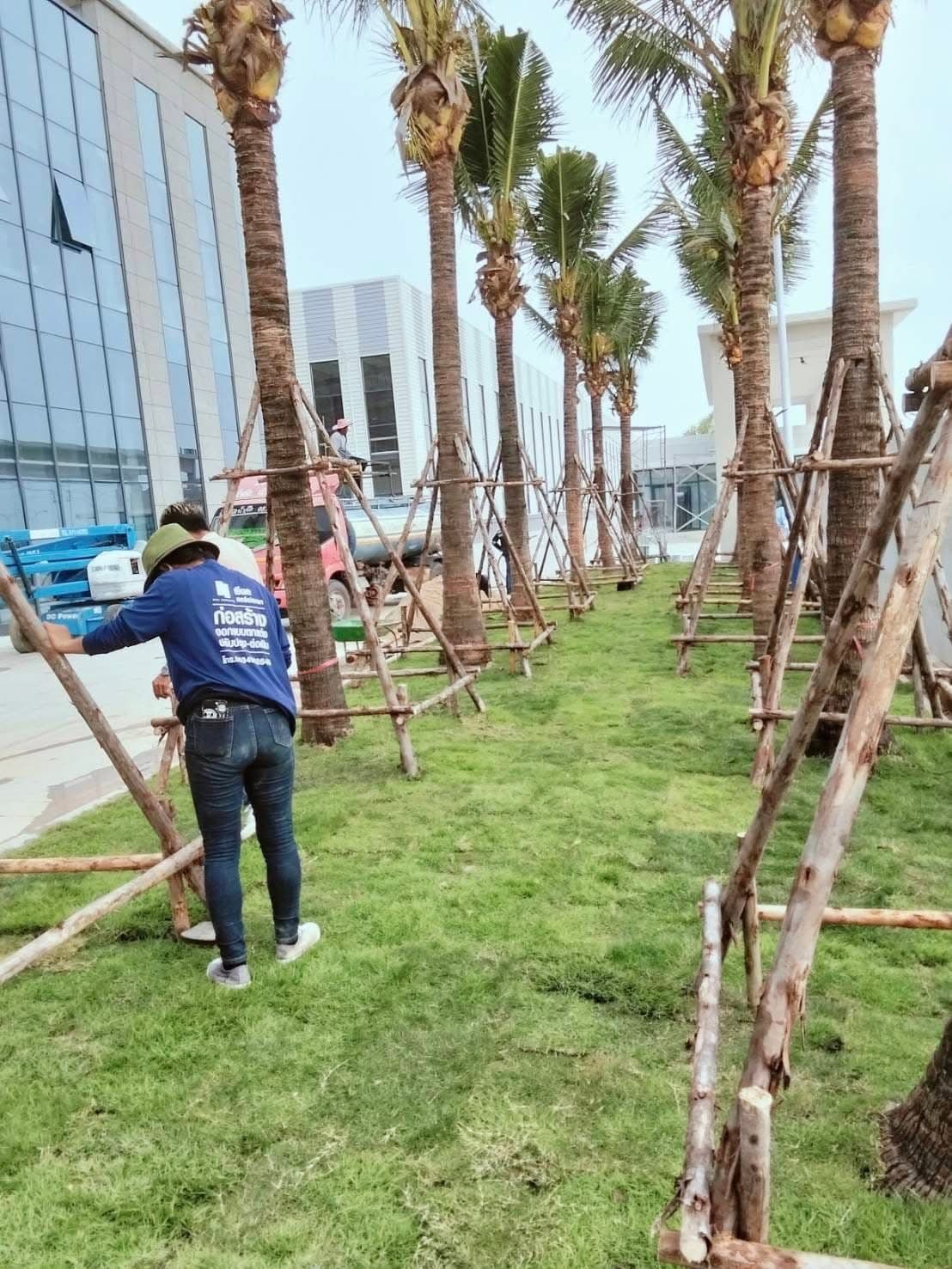 งานจัดสวนลูกค้า 5