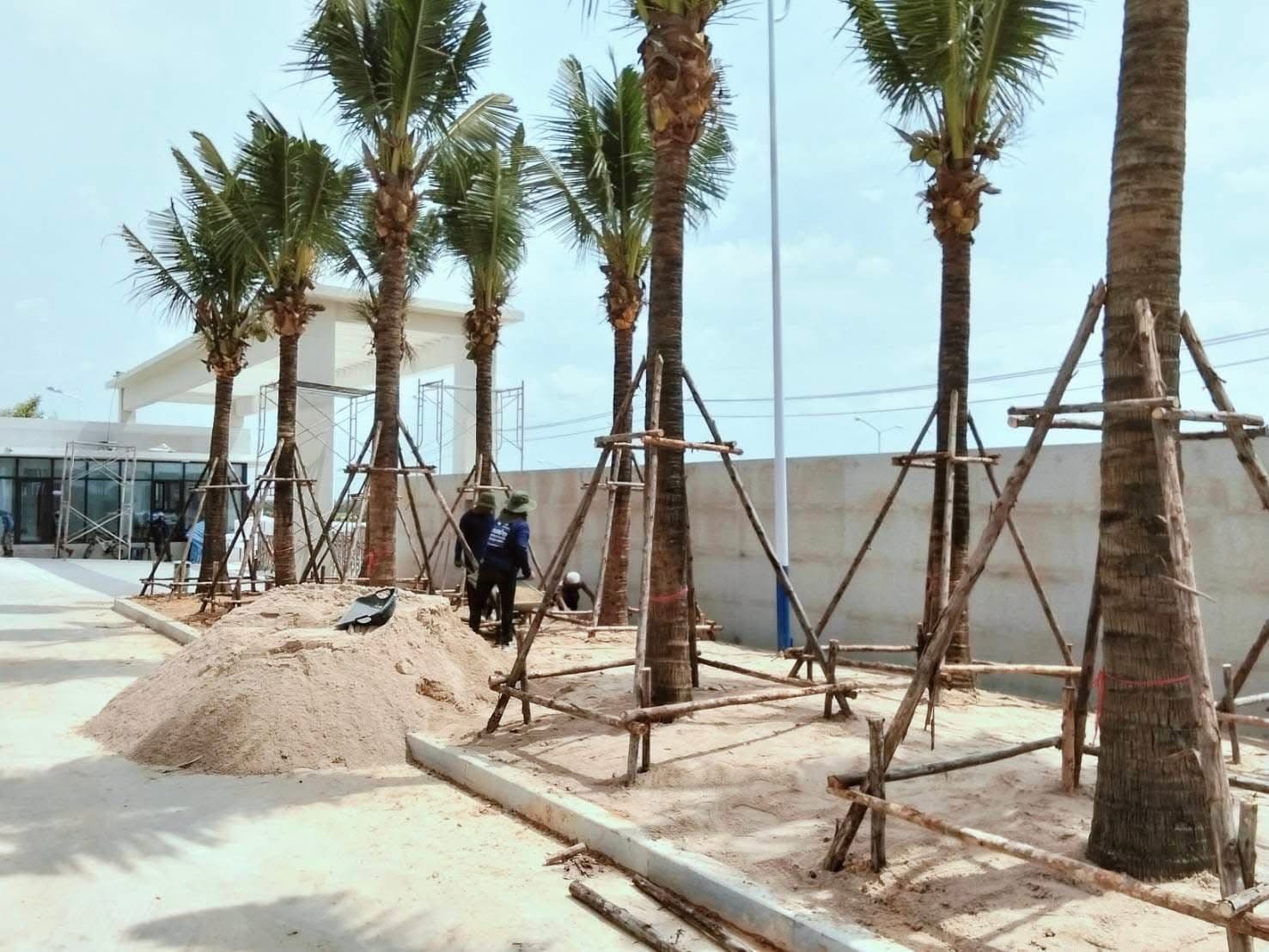 งานจัดสวนลูกค้า 6